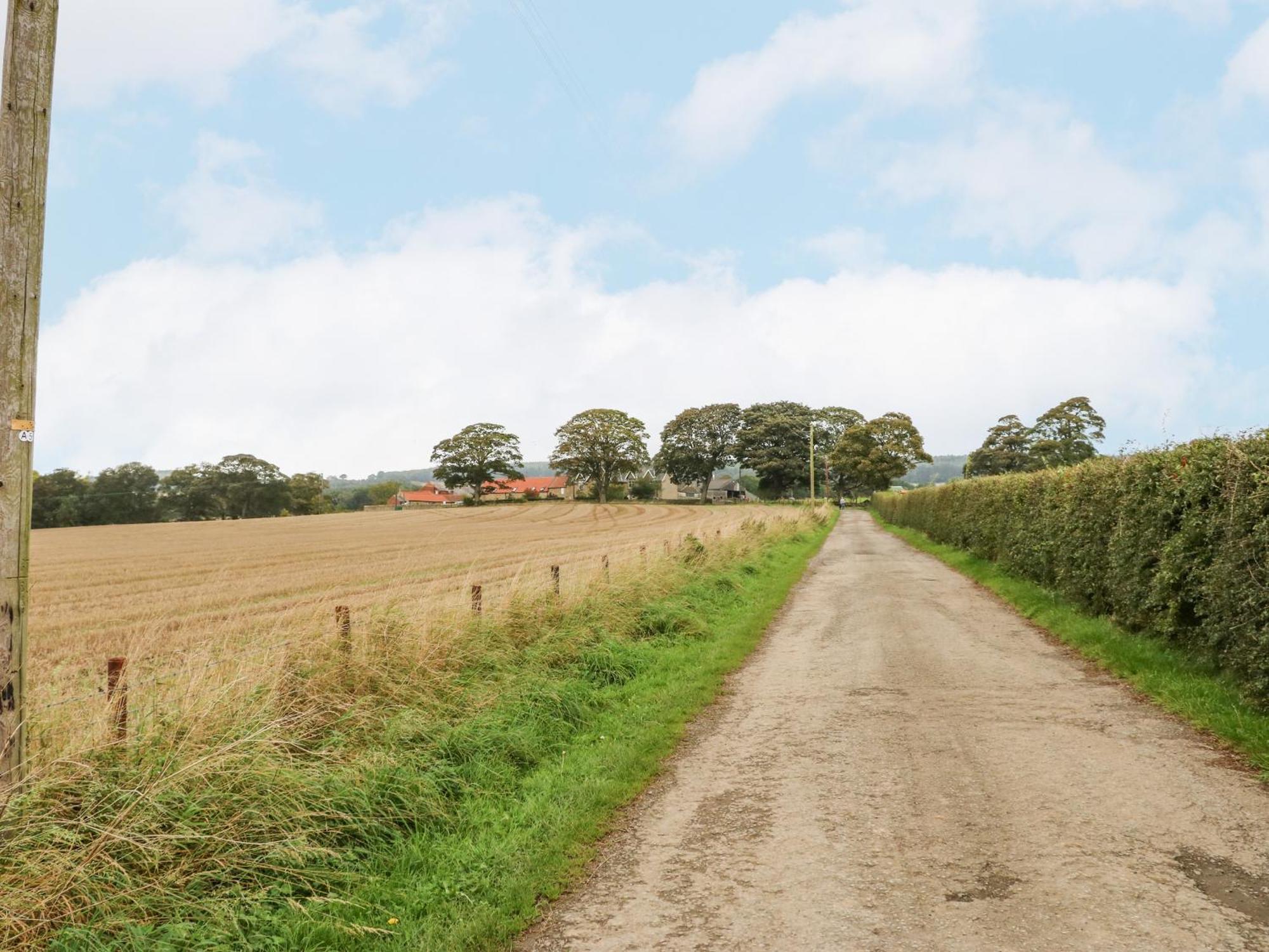 Sheep Pen Cottage Durham Esterno foto